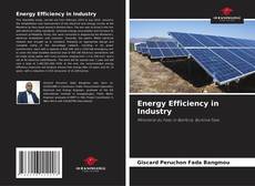Energy Efficiency in Industry kitap kapağı