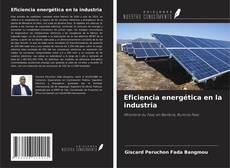 Buchcover von Eficiencia energética en la industria