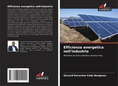 Copertina di Efficienza energetica nell'industria