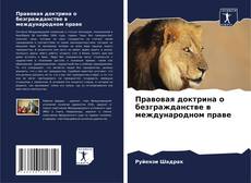 Buchcover von Правовая доктрина о безгражданстве в международном праве