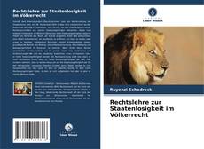 Rechtslehre zur Staatenlosigkeit im Völkerrecht的封面