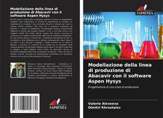Modellazione della linea di produzione di Abacavir con il software Aspen Hysys的封面