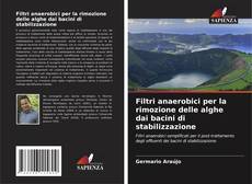 Bookcover of Filtri anaerobici per la rimozione delle alghe dai bacini di stabilizzazione