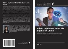 Cómo implantar Lean Six Sigma en China kitap kapağı