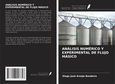 ANÁLISIS NUMÉRICO Y EXPERIMENTAL DE FLUJO MÁSICO kitap kapağı