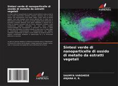 Couverture de Sintesi verde di nanoparticelle di ossido di metallo da estratti vegetali