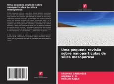 Bookcover of Uma pequena revisão sobre nanopartículas de sílica mesoporosa