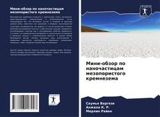 Bookcover of Мини-обзор по наночастицам мезопористого кремнезема