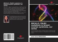 Buchcover von BRCA1/2, PALB2 mutations in breast-ovarian syndrome, our series