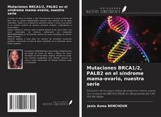 Mutaciones BRCA1/2, PALB2 en el síndrome mama-ovario, nuestra serie kitap kapağı