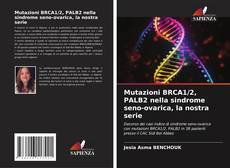 Capa do livro de Mutazioni BRCA1/2, PALB2 nella sindrome seno-ovarica, la nostra serie 