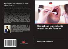 Buchcover von Manuel sur les scellants de puits et de fissures