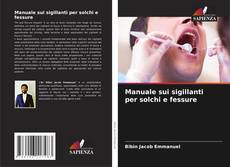 Manuale sui sigillanti per solchi e fessure kitap kapağı