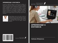 Buchcover von APRENDIZAJE A DISTANCIA