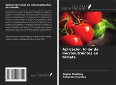 Обложка Aplicación foliar de micronutrientes en tomate