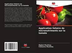 Application foliaire de micronutriments sur la tomate的封面