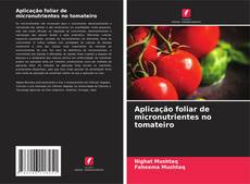 Buchcover von Aplicação foliar de micronutrientes no tomateiro