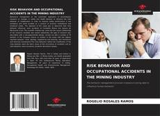 Portada del libro de RISK BEHAVIOR AND OCCUPATIONAL ACCIDENTS IN THE MINING INDUSTRY