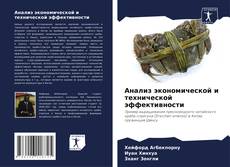 Buchcover von Анализ экономической и технической эффективности