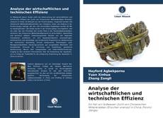 Analyse der wirtschaftlichen und technischen Effizienz的封面