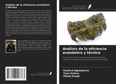 Buchcover von Análisis de la eficiencia económica y técnica