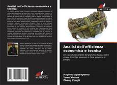 Buchcover von Analisi dell'efficienza economica e tecnica