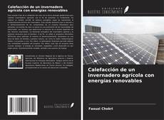 Buchcover von Calefacción de un invernadero agrícola con energías renovables