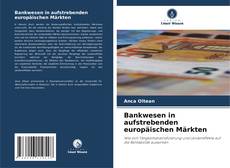 Обложка Bankwesen in aufstrebenden europäischen Märkten