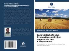 Landwirtschaftliche Produktionspraktiken angesichts des Klimawandels的封面