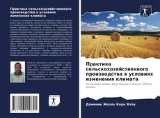 Portada del libro de Практика сельскохозяйственного производства в условиях изменения климата