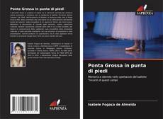 Ponta Grossa in punta di piedi的封面