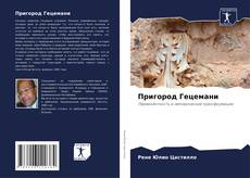 Buchcover von Пригород Гецемани