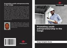 Bookcover of Promoting youth entrepreneurship in the Congo