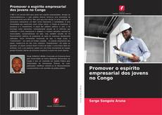 Buchcover von Promover o espírito empresarial dos jovens no Congo