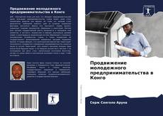 Buchcover von Продвижение молодежного предпринимательства в Конго