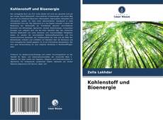 Kohlenstoff und Bioenergie的封面