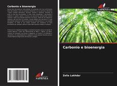 Copertina di Carbonio e bioenergia