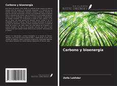 Buchcover von Carbono y bioenergía