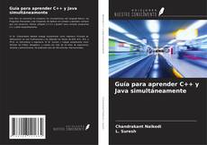 Guía para aprender C++ y Java simultáneamente kitap kapağı