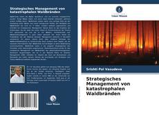 Portada del libro de Strategisches Management von katastrophalen Waldbränden