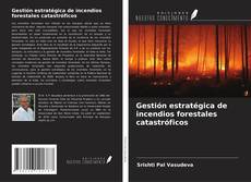Borítókép a  Gestión estratégica de incendios forestales catastróficos - hoz