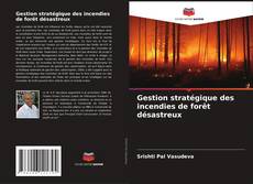 Capa do livro de Gestion stratégique des incendies de forêt désastreux 