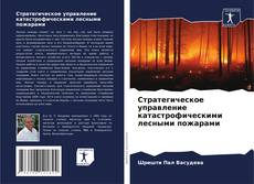 Buchcover von Стратегическое управление катастрофическими лесными пожарами