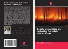 Bookcover of Gestão estratégica de incêndios florestais catastróficos