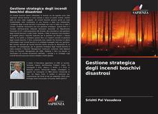 Gestione strategica degli incendi boschivi disastrosi的封面