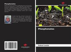 Buchcover von Phosphonates