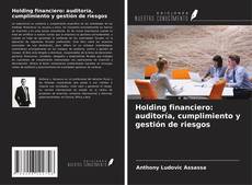 Capa do livro de Holding financiero: auditoría, cumplimiento y gestión de riesgos 