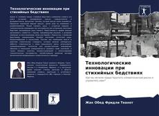 Buchcover von Технологические инновации при стихийных бедствиях