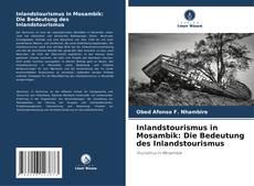 Inlandstourismus in Mosambik: Die Bedeutung des Inlandstourismus的封面