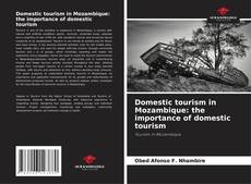 Buchcover von Domestic tourism in Mozambique: the importance of domestic tourism